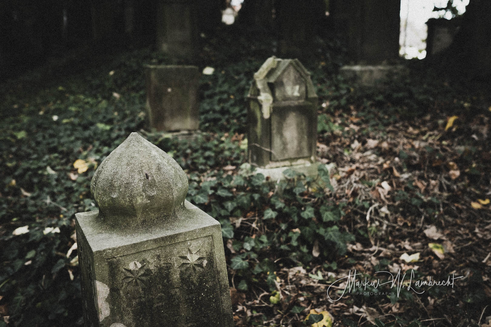 Steinheim (Westfalen), Jüdischer Friedhof
